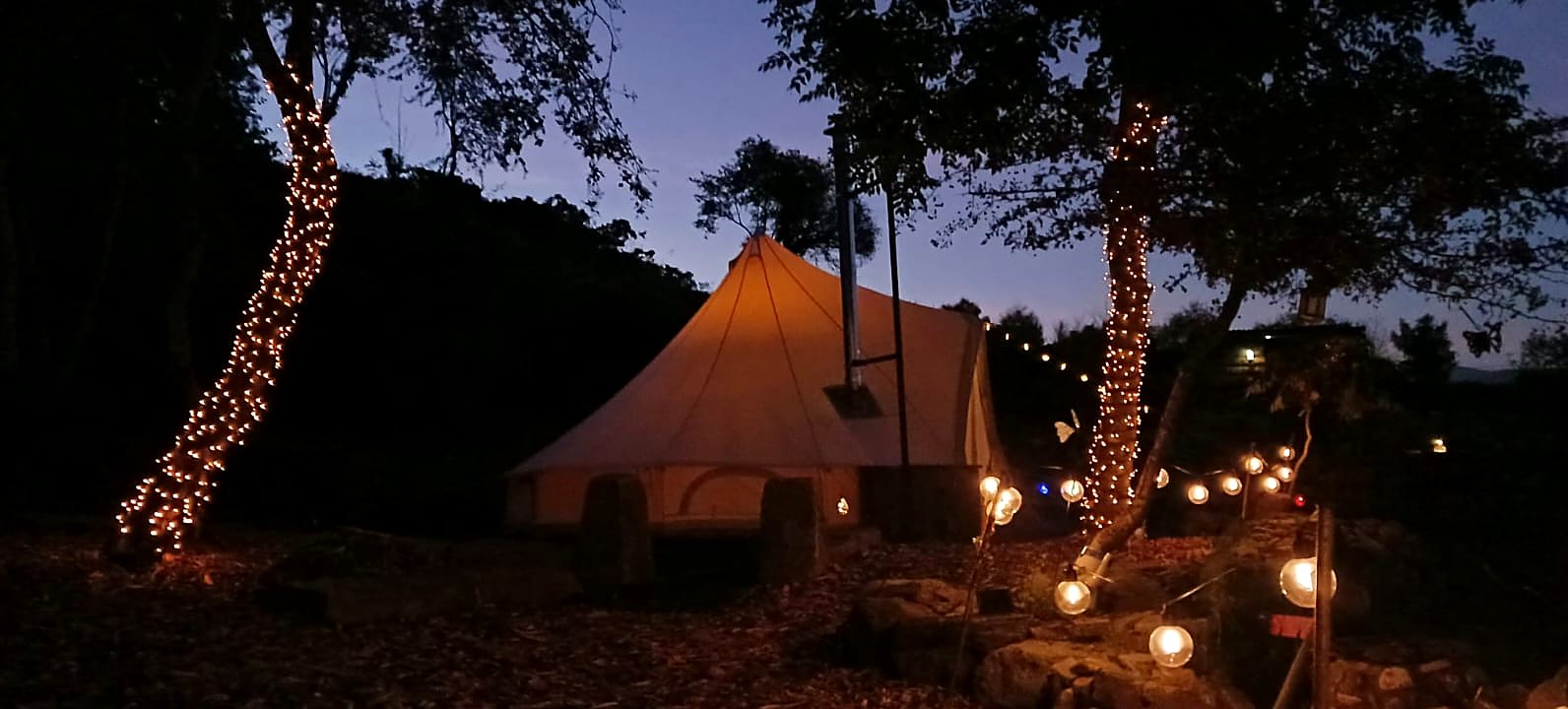 Fairy Fort bell tent glowing between trees wrapped in fairy lights after dark